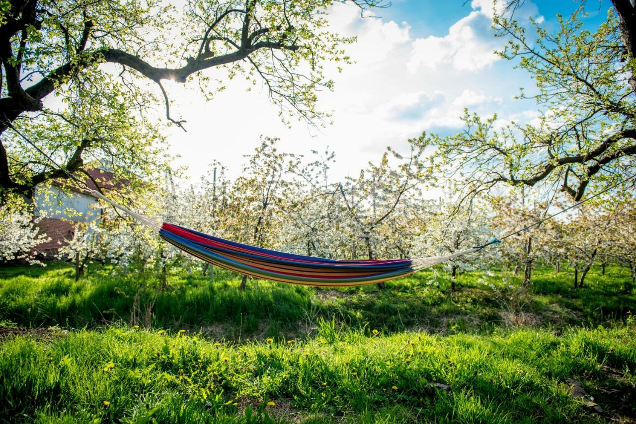 Deichkroenchen Ferienwohnung Altes Land Hamburg Jork Zewnętrze zdjęcie